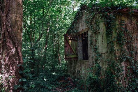 Une Maison Abandonn E Dans La For T Une Cabane De L Horreur Dans Les