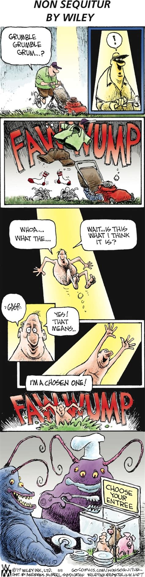 Non Sequitur By Wiley Miller For August 08 2021