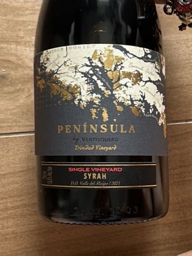 Ventisquero Peninsula Single Vineyard Syrah Vivino US