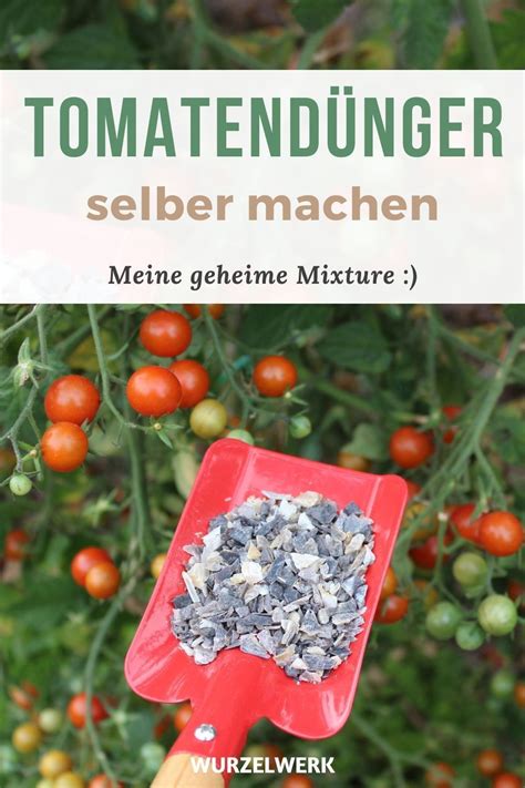 Tomaten Richtig D Ngen Wann Wie Mit Welchem D Nger Isst Du Auch