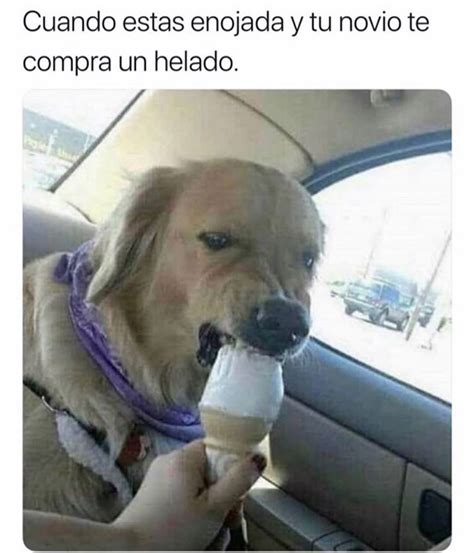 Cuando Estas Enojada Y Tu Novio Te Compra Un Helado Memes