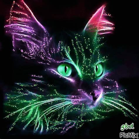 Neon Cat Gif