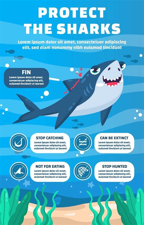 Infograf A De Proteger A Los Tiburones Vector En Vecteezy