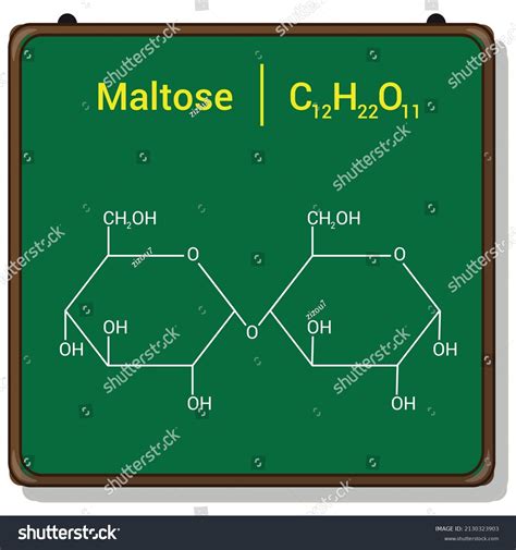 Chemical Structure Maltose C12h22o11 Stock Vector (Royalty Free) 2130323903 | Shutterstock