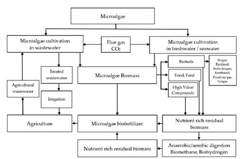 Microalgae Biomass In A Comprehensive Biorefinery Concept Download