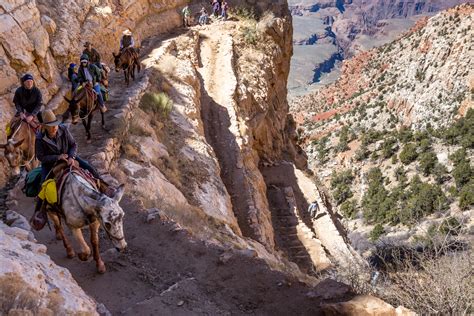 Lightfoot J The Great Grand Canyon Mule Ride 07 Sierra Camera Club