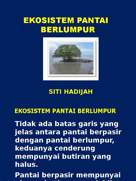 Ekosistem Pantai Berlumpur Pdf