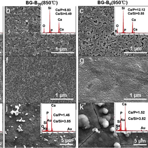 Pdf Incorporation Of B2o3 In Cao Sio2 P2o5 Bioactive Glass System For Improving Strength Of