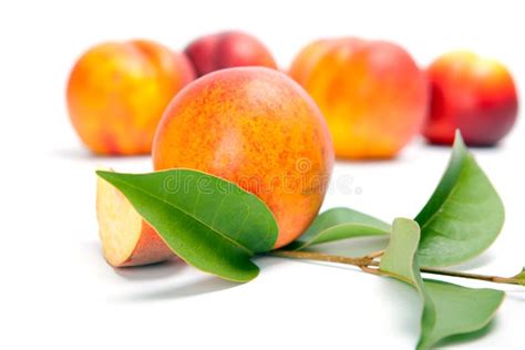 Fresh Peach Fruits With Green Leaves Isolated On White Background Stock