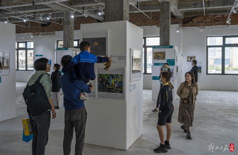 世界地球日：百幅顶级野生生物影像作品亮相黄浦江畔