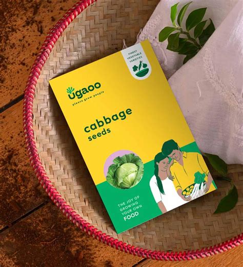 Buy Cabbage Seeds at 32% OFF by Ugaoo | Pepperfry