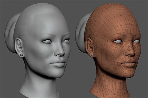 Head Base Mesh Female 3D Model 10 Ztl Obj Unknown Free3D