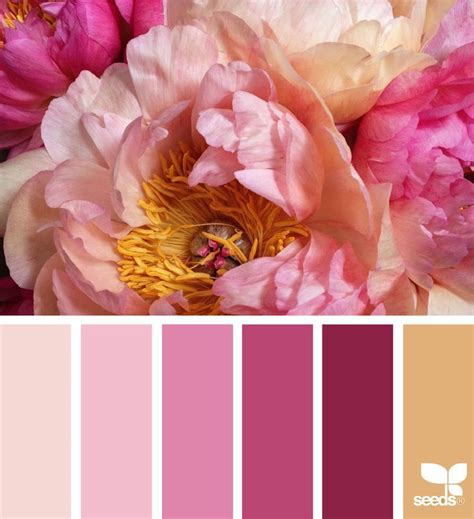 Flora Hues Seeds Color Palette Seeds Color Design Seeds Color Palette