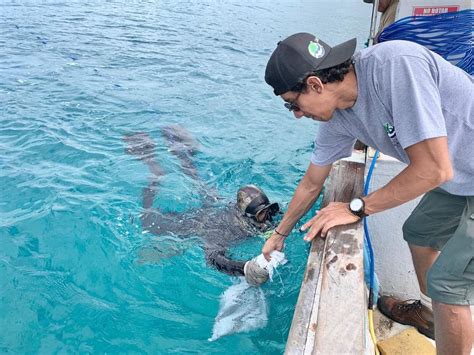 Limpieza submareal en Galápagos Cuidamos nuestro océano para un futuro