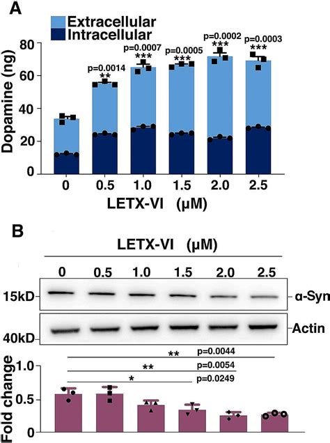 Effects Of Latroeggtoxin Vi On Dopamine And Synuclein In Pc Cells