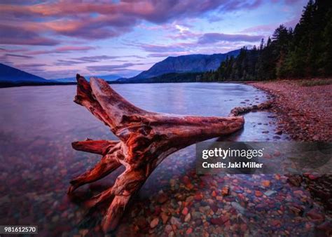 156 Lake Mcdonald Rocks Stock Photos, High-Res Pictures, and Images ...