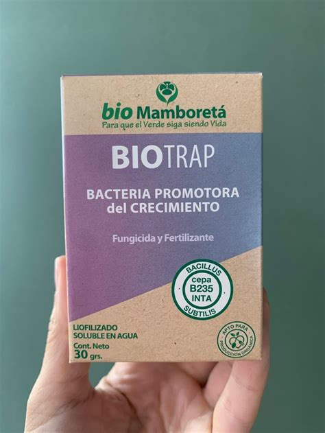 Biotrap Mamboret Comprar En Vivero Roots