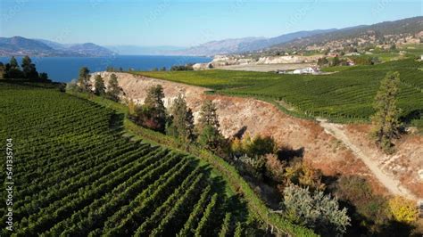 Naramata Bench Winery Vineyard Penticton Okanagan Valley Stock Video