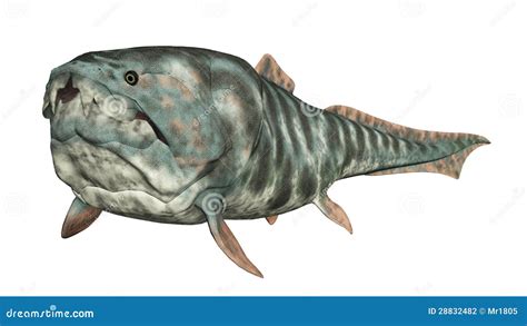 Dunkleosteus Stock Illustration 28832482