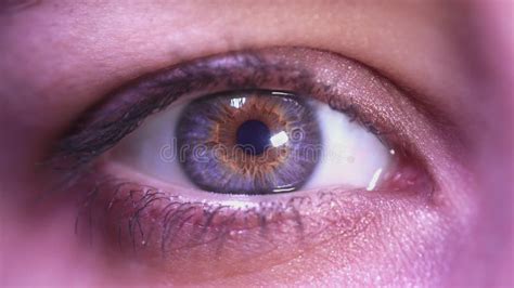 Beautiful Human Eye Close Up Young Woman Blue One Eye Macro Shoot