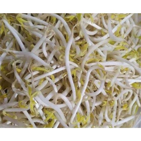 Jual TOGE PER 250 GR SAYUR SEGAR PALEMBANG Shopee Indonesia