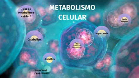 Metabolismo Celular By Teresa Sabaj On Prezi