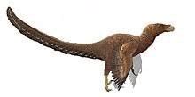 O ladrão do deserto | Wiki | Dino World BR~PT Amino