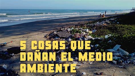 Cinco Cosas Que DaÑan El Medio Ambiente Youtube