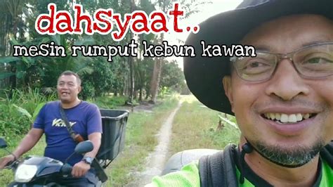 245 Lepaih Tanam Pokok Pisang Pergi Pulak Tebaih Kebun Pisang YouTube