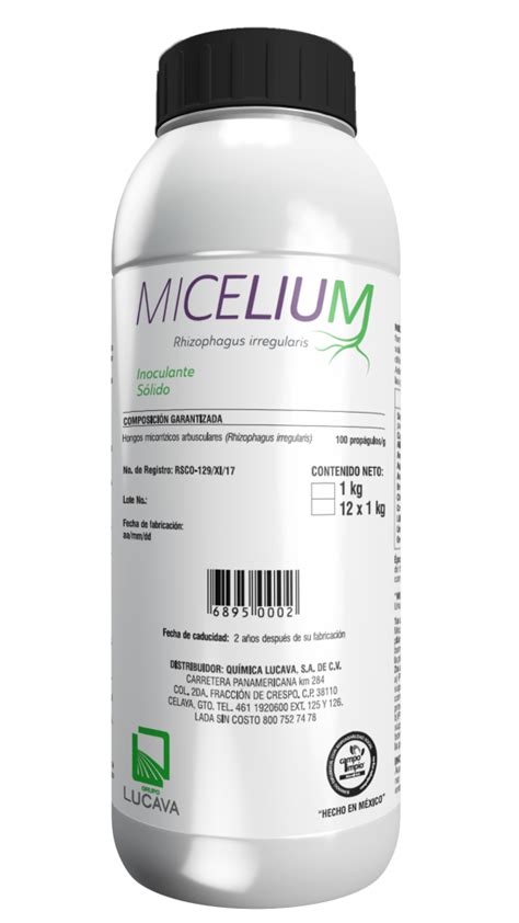 MICELIUM LANDING Agro Lucava