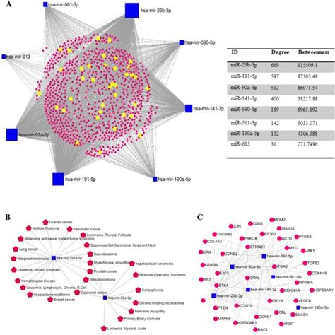 A The Mirna Gene Interaction Network Of The Eight Predicted Mirna