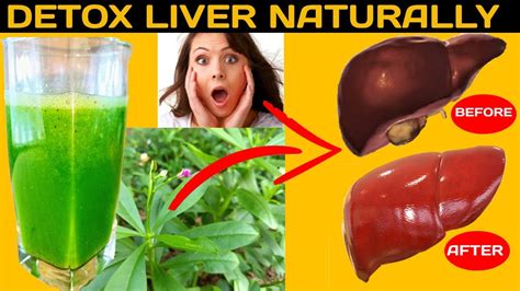 How To Detox Liver Or Cleanse Liver Naturally In 2 Days Fatty Liver Natural Remedy Youtube