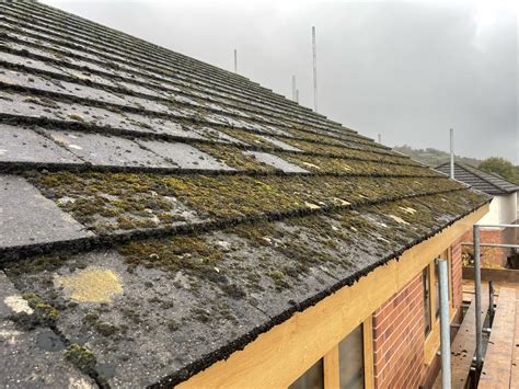 Effective Roof Moss Treatment Permanently Kill Moss