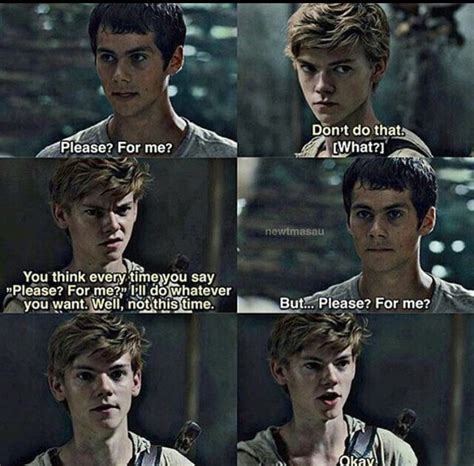 Newtmas A Memorable Meme From The Maze Runner