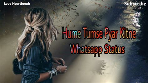 Hume Tumse Pyaar Kitne Whatsapp Status Female Version Youtube