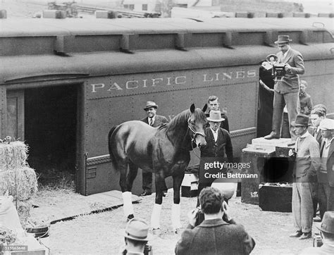 Seabiscuit At Belmont For Match Race Seabiscuit None The Worse For