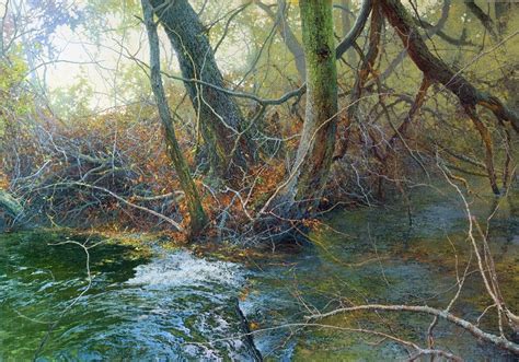 A Stream Running Through a Forest