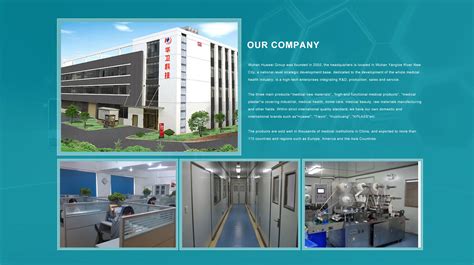 Company Overview Wuhan Huawei Technology Co Ltd