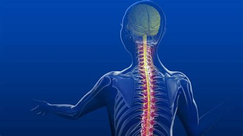 Pain in the back: Preventing and treating spinal arthritis - Mayo ...