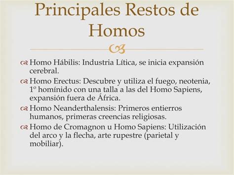 El Proceso De Hominizaci N Ppt