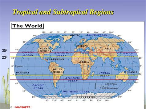 Ppt Common Tropical Infections Powerpoint Presentation Free Download