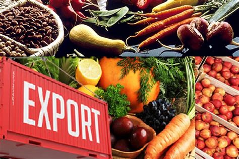 Per Cent Jump In Exports Of Agricultural Processed Food Products In