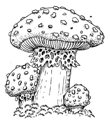 Frantic Stamper Cling Mounted Rubber Stamp Lg Toadstool