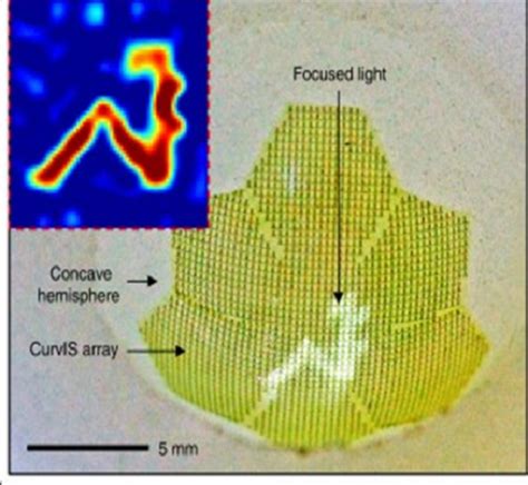 Human Eye Inspired Soft Optoelectronic Device Using High Density Mos