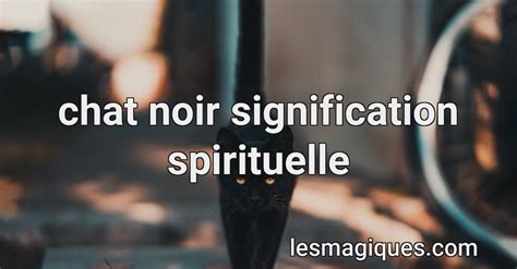 Chat Noir Signification Spirituelle Symbolisme