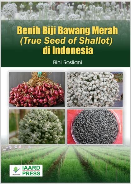 Benih Biji Bawang Merah True Seed Of Shallot Di Indonesia