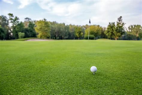 Golf Sahası Fiyatları 2025 Güncel Karekod Blog