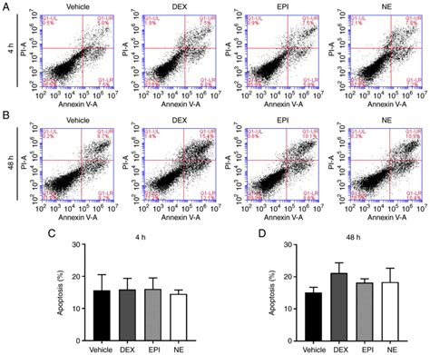 Wip1 Contributes To The Adaptation Of Hepg2 Human Liver Cancer Cells To