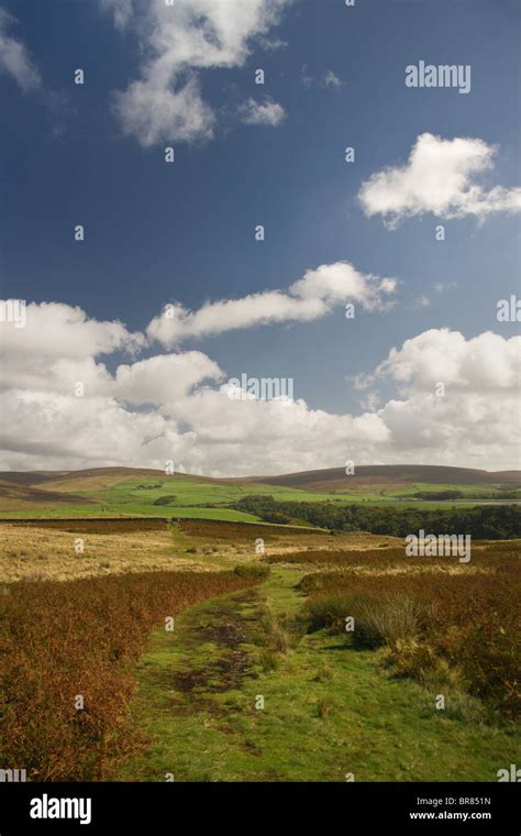 Forest Of Bowland Stock Photo Alamy