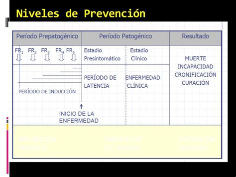 Niveles De Prevenci N Epidemiolog A Enfermer A Heydi Mayli Rm Udocz